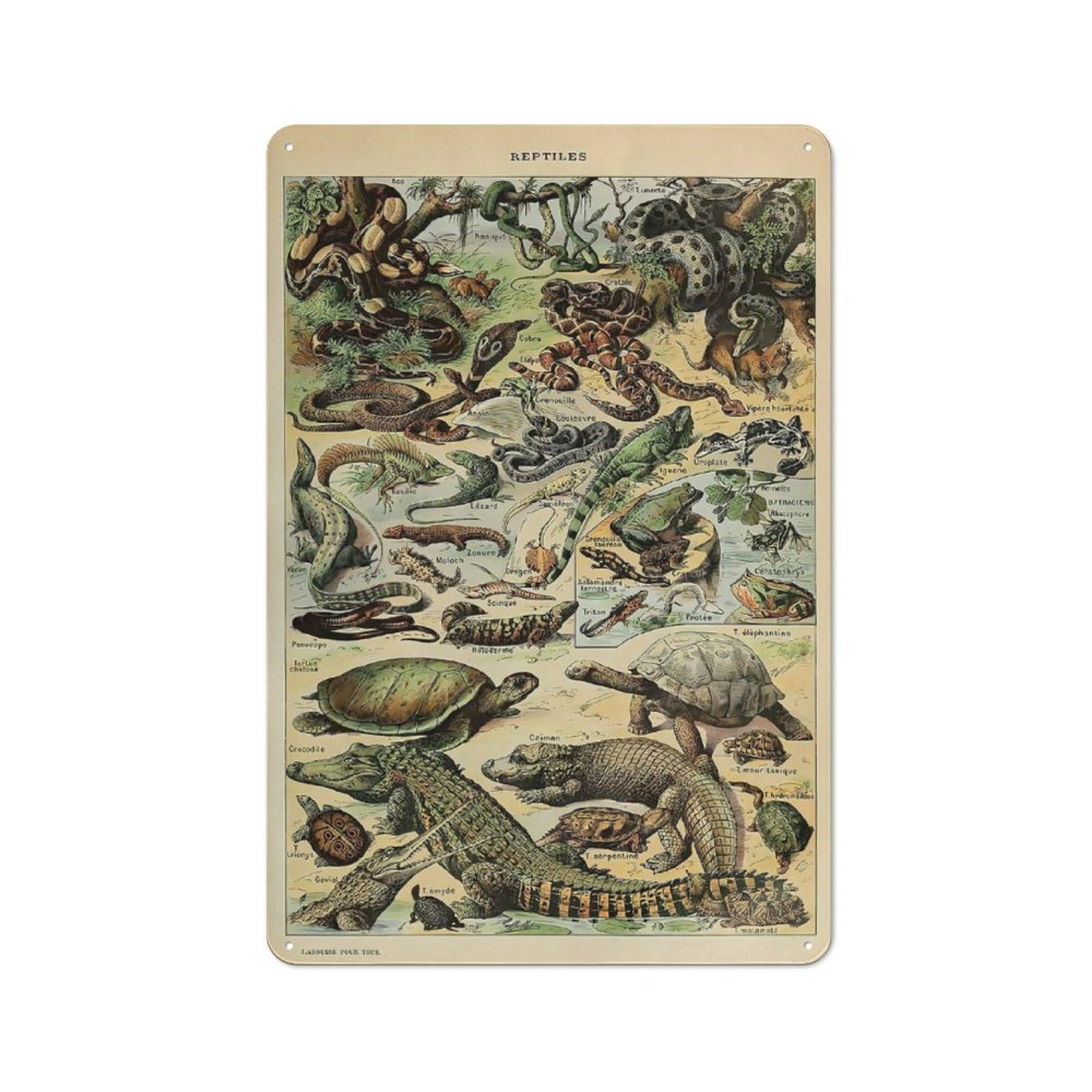 Junmoney Style-5 Vintage Adolphe Millot Reptiles Metal Wall Art Sign 30X20cm, Old Style Wall Plaque For Bedroom, Office, Home Bar Or Dining Room