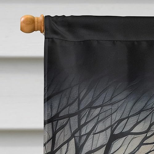 Miniatura 136 de Caroline's Treasures DAC2011GF - Bandera decorativa para jardín de Halloween con diseño de beagle para jardín, jardín, jardín, jardín, multicolor