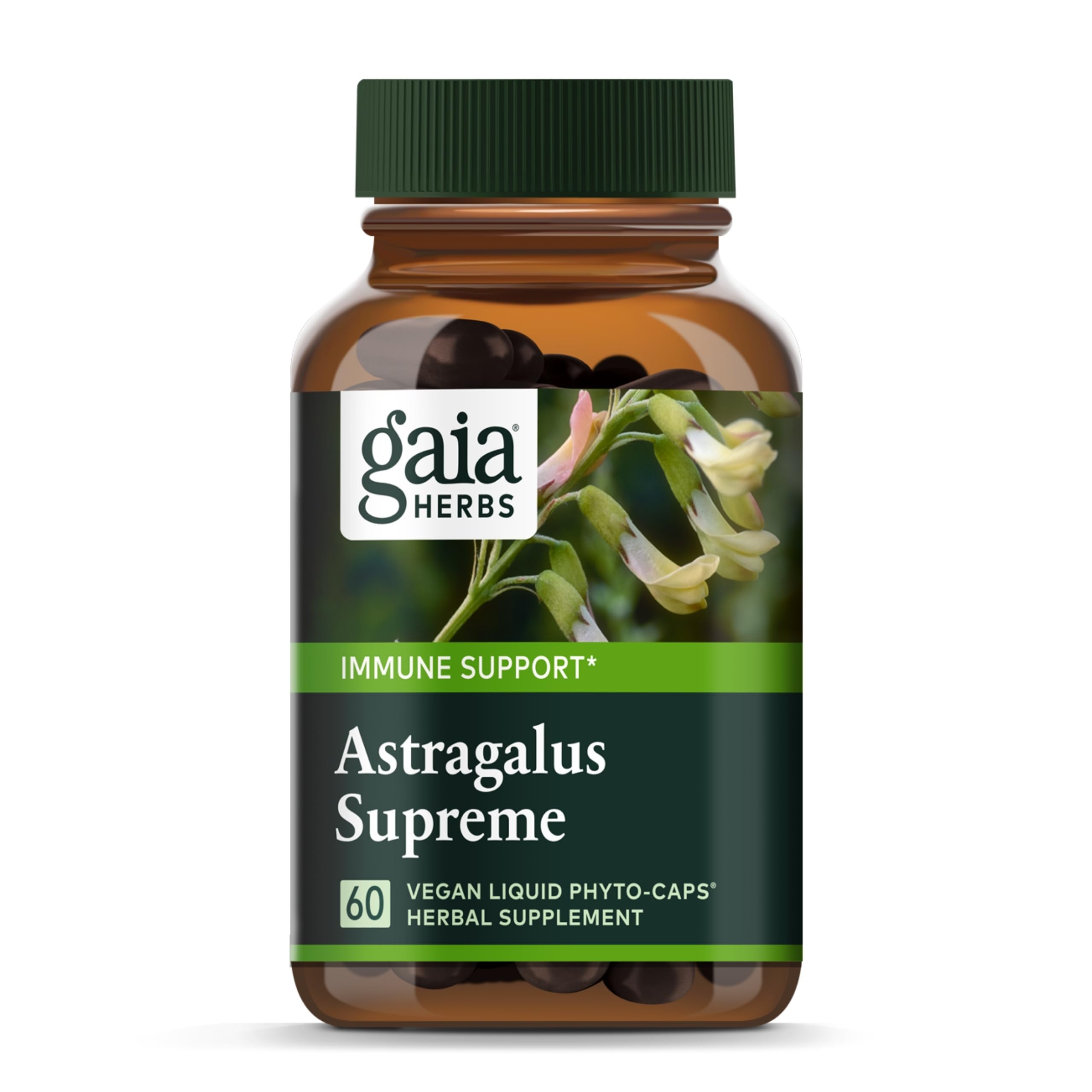 Gaia Herbs Astragalus Supreme - Immune and Antioxidant Support Herbal Supplement - with Astragalus Root, Schisandra Berry, and Ligustrum - 60 Vegan Liquid Phyto-Capsules (15-Day Supply)