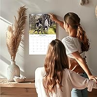 Vista 234 de Razas de Perros 2017