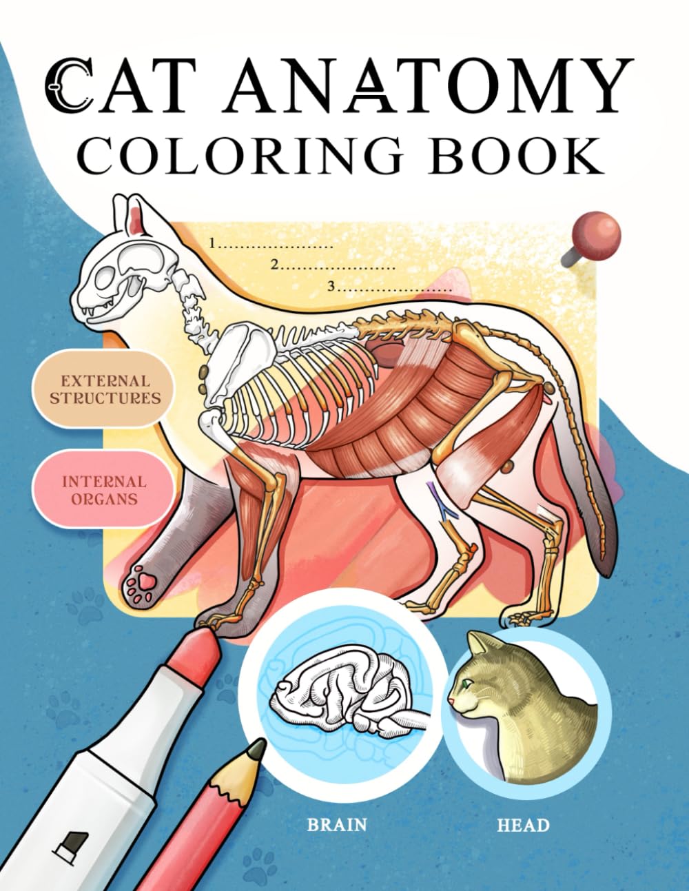 Cat Anatomy: Coloring Book for Beginners, Veterinary Students, and Cat Lovers, Feline Diagram Workbook of Major Systems to Color and Learn (Anatomy for Beginners)