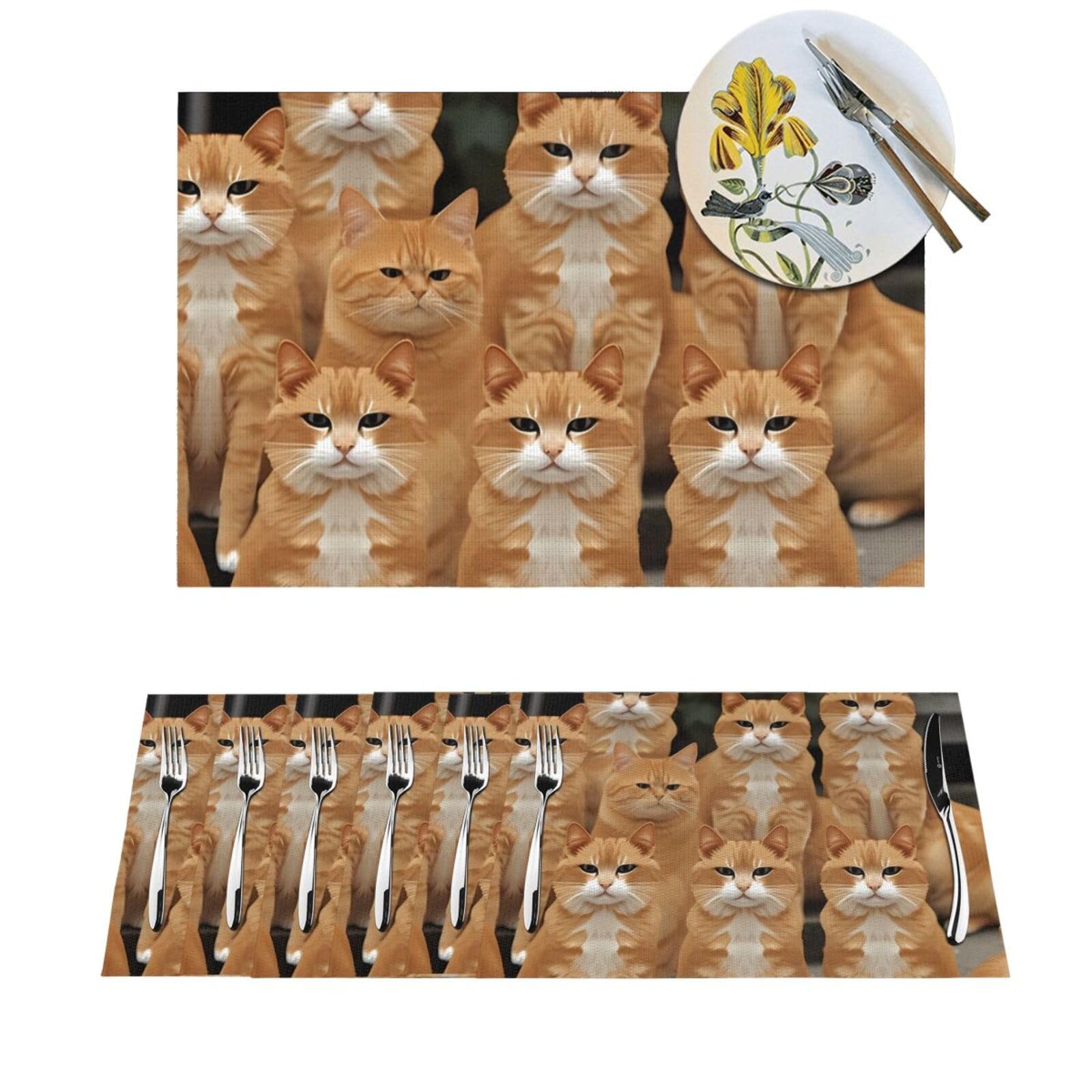 Sets de table PVC lavables chat orange protège-table antidérapant résistant chaleur 30x45cm
