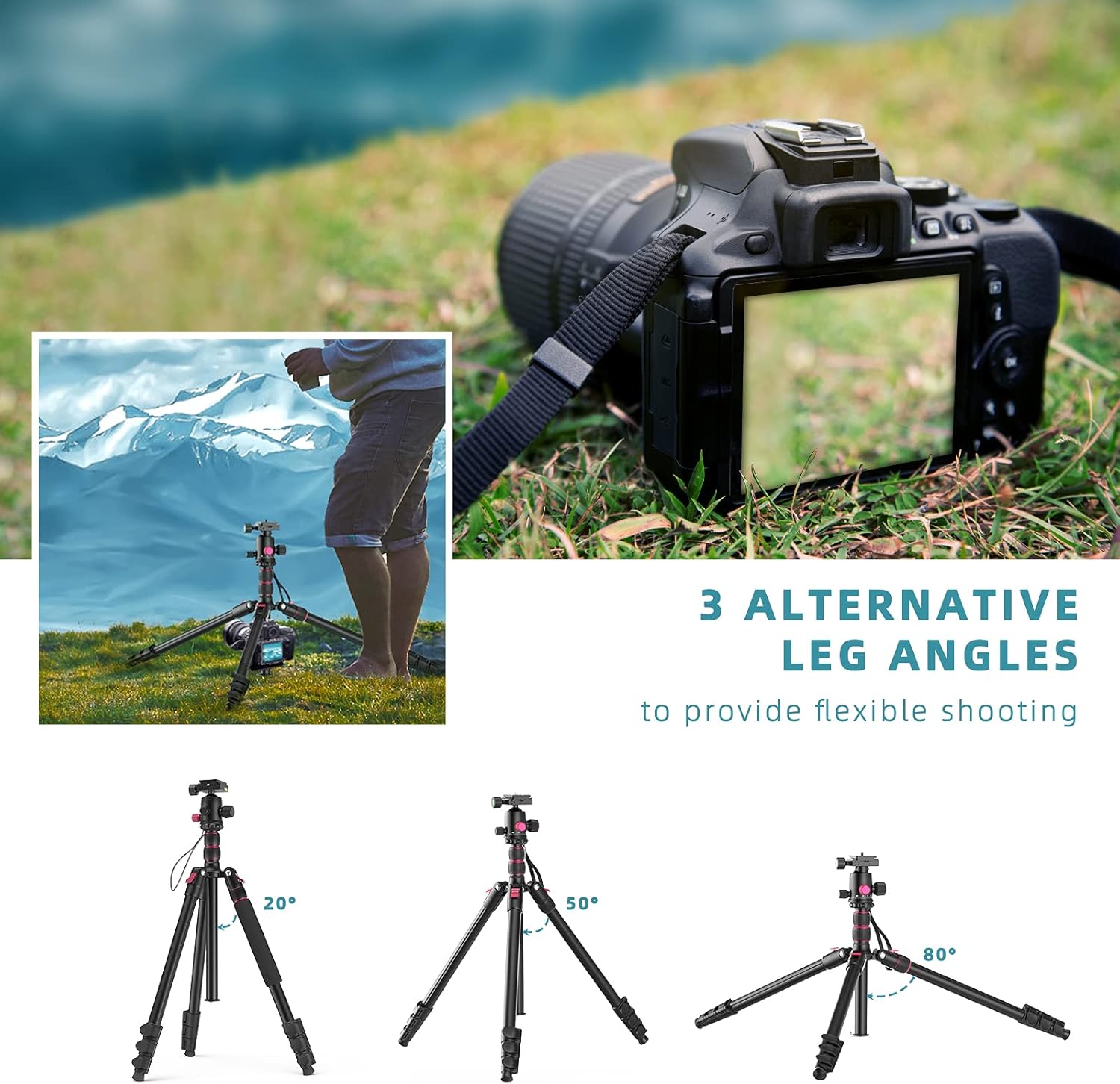 ROXTAK 80" Camera Tripod & Monopods,Professional Compact Aluminum Travel Tripods for DSLR with 360 Degree Ball Head and 2 Quick Release Plates,Compatible for Canon,Nikon,Sony,Samsung,Olympus&Panasonic : Electronics