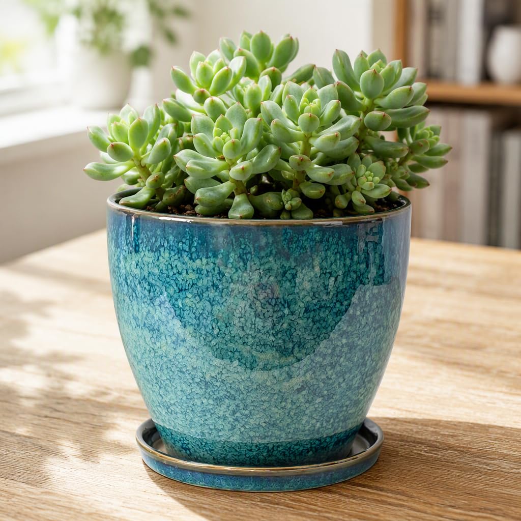 Pot de Fleurs en céramique Turquoise avec Trou de Drainage et Soucoupe, Pot en grès émaillé pour Plantes dintérieur et dextérieur, succulentes et Cactus, 17 x 16,5 cm (24.5 * 22CM)