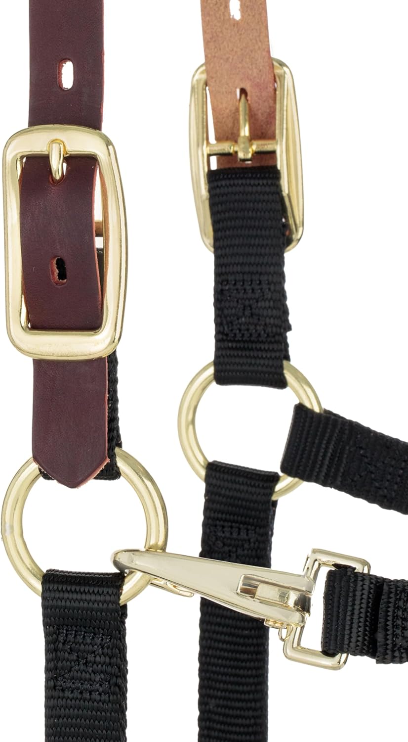 Breakaway Horse Halter, Supple Leather Crown, Adjustable Chin & Throat Snap Halters for Horses, Equine Tack,Pony Size, Black