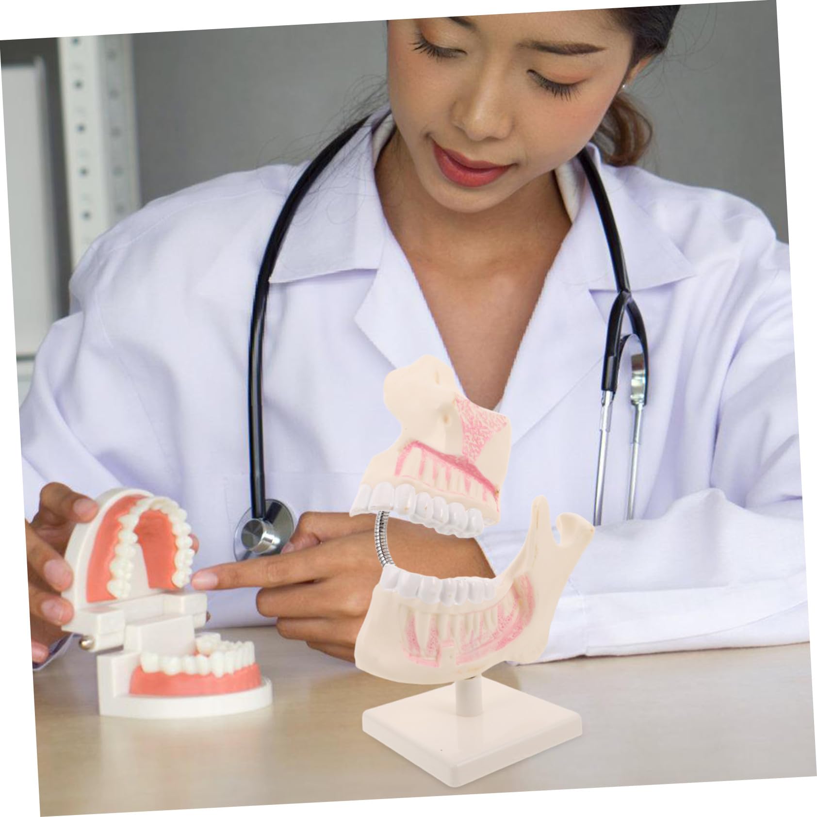 MAGICLULU Modello di Bocca in Plastica per Studio Modello Dimostrativo per Studenti di Odontoiatria Strumento di Intaglio per Pratica e Preparazione Agli Esami