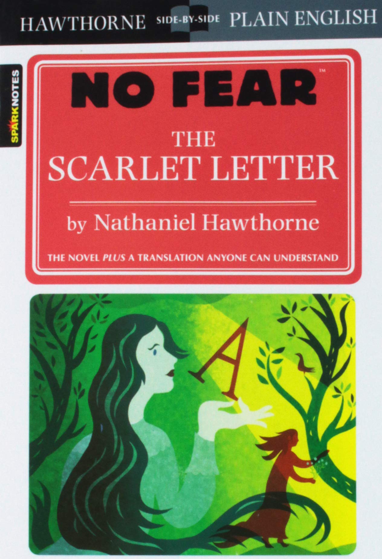 the scarlet letter and the crucible