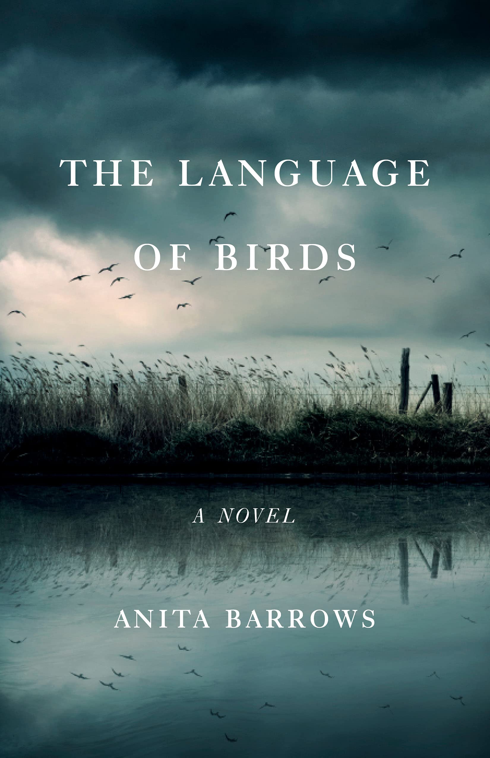 Buy The Language of Birds — BookShops.in