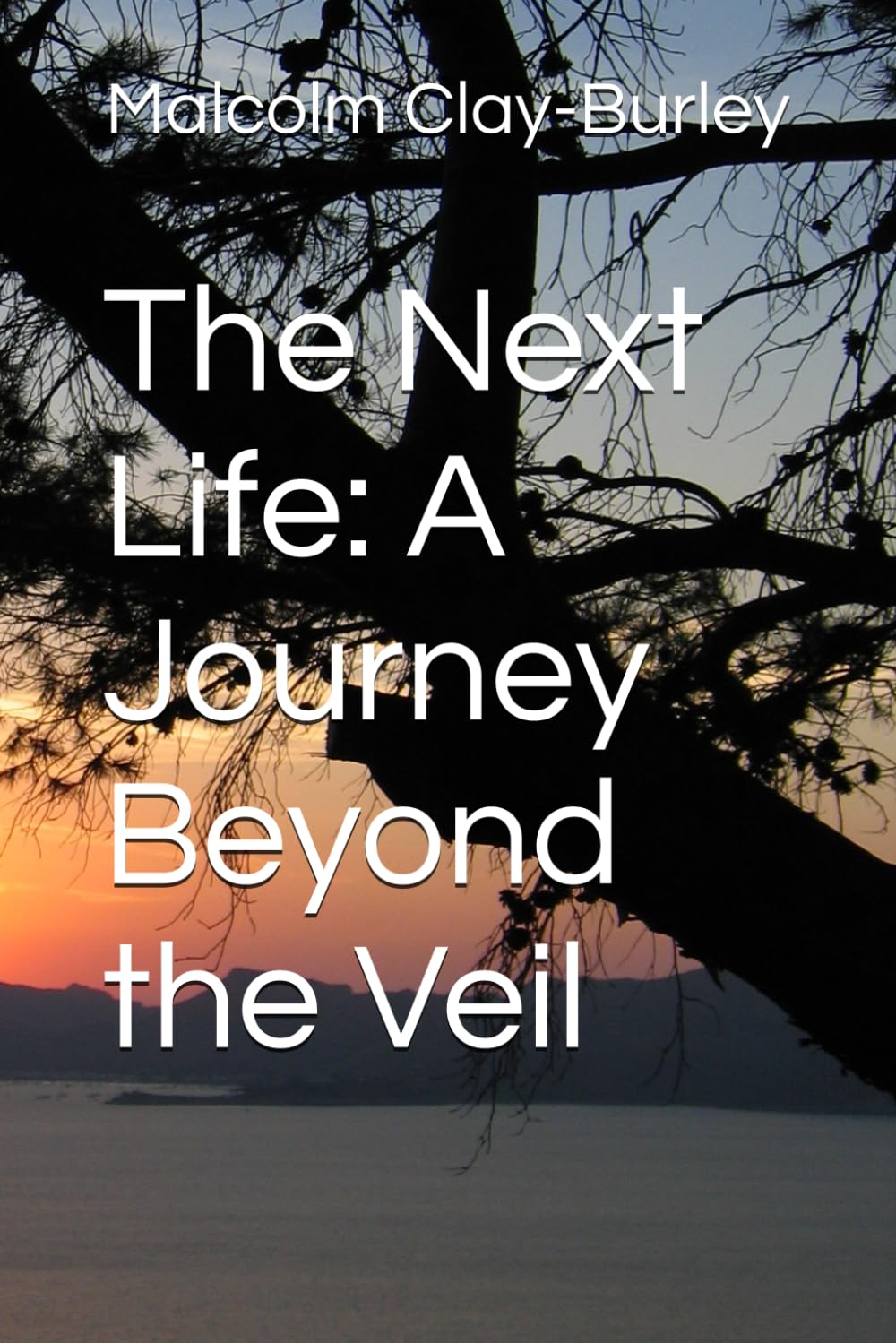 The Next Life: A Journey Beyond the Veil