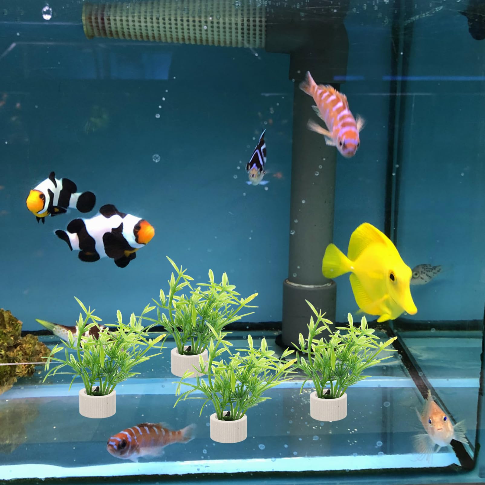 Kisangel 3 Juegos 3 Juegos De Calentador De Taza De Plantación Acuática De Aire USB Tanque De Terrario Portátil Soporte De Agua Artificial Plantador De Acuario 10 Uds * 3