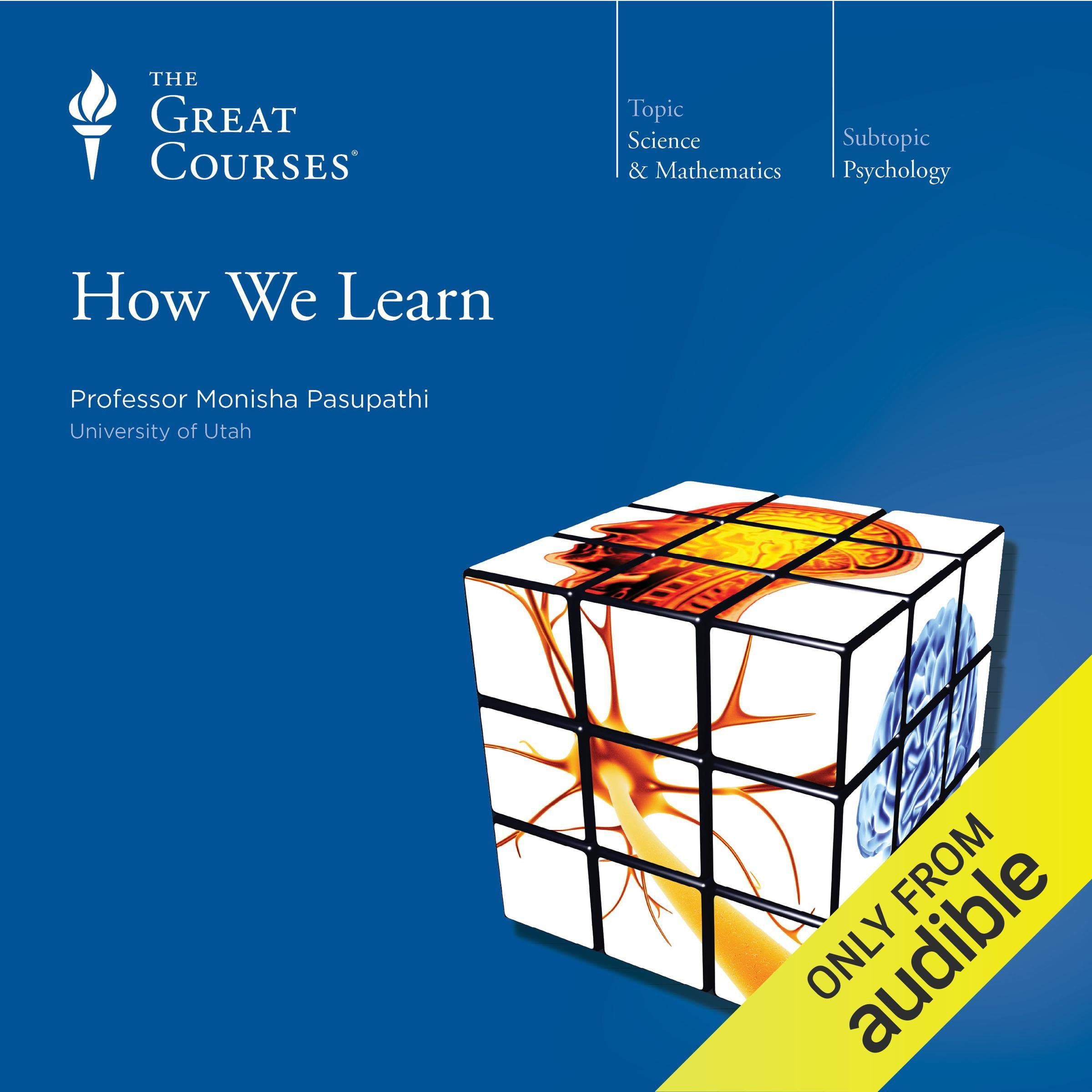 Cover art for How We Learn