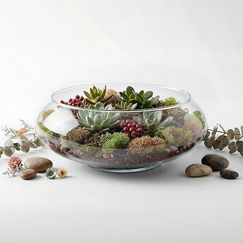 Miniatura 4 de ZENFUN Paquete de 2 jarrones de vidrio, jarrón de flores de boca ancha de 6 y 8 pulgadas, terrario redondo, maceta hidropónica de vidrio, recipiente