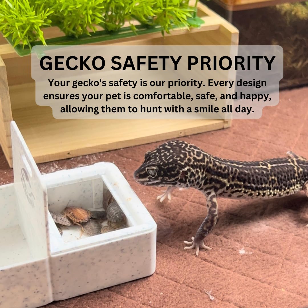 Geckopia Triple Dish 3.0 | Cuenco 3 en 1 para reptiles | Cuenco para alimentos de calcio y agua para gecko y reptiles | Plato de gusano de la harina en bioplástico | Madera