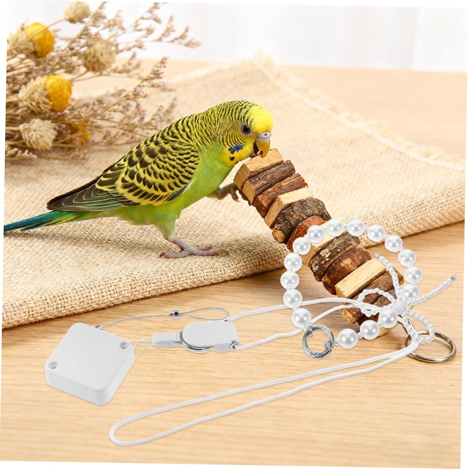 Baluue Auto Retractable Bird Leash for Budgie and Cockatiel with Anti-bite Stainless Steel Wire and Adjustable Abs Parrot Harness Leash Featuring Foot Rings for Bird Training in Open