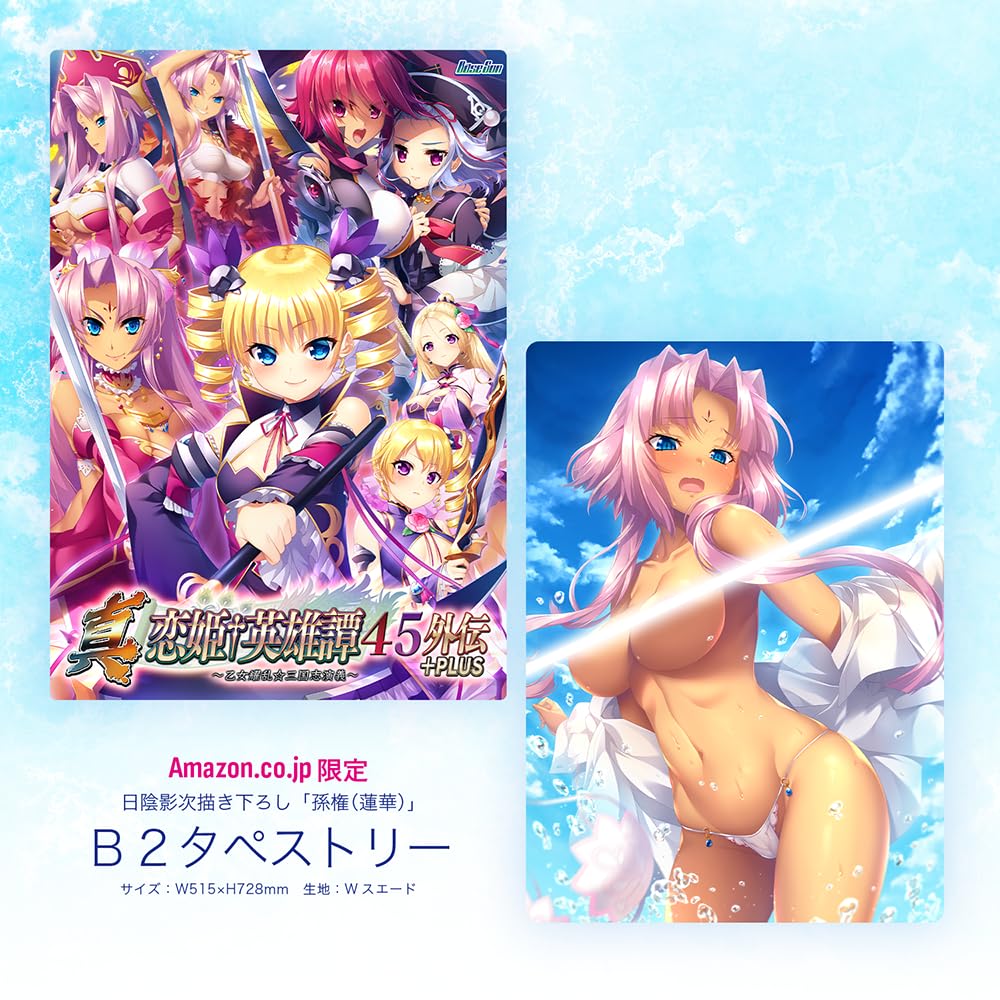 Amazon.co.jp: 真・恋姫†英雄譚45外伝+PLUS ～乙女耀乱☆三国志演義