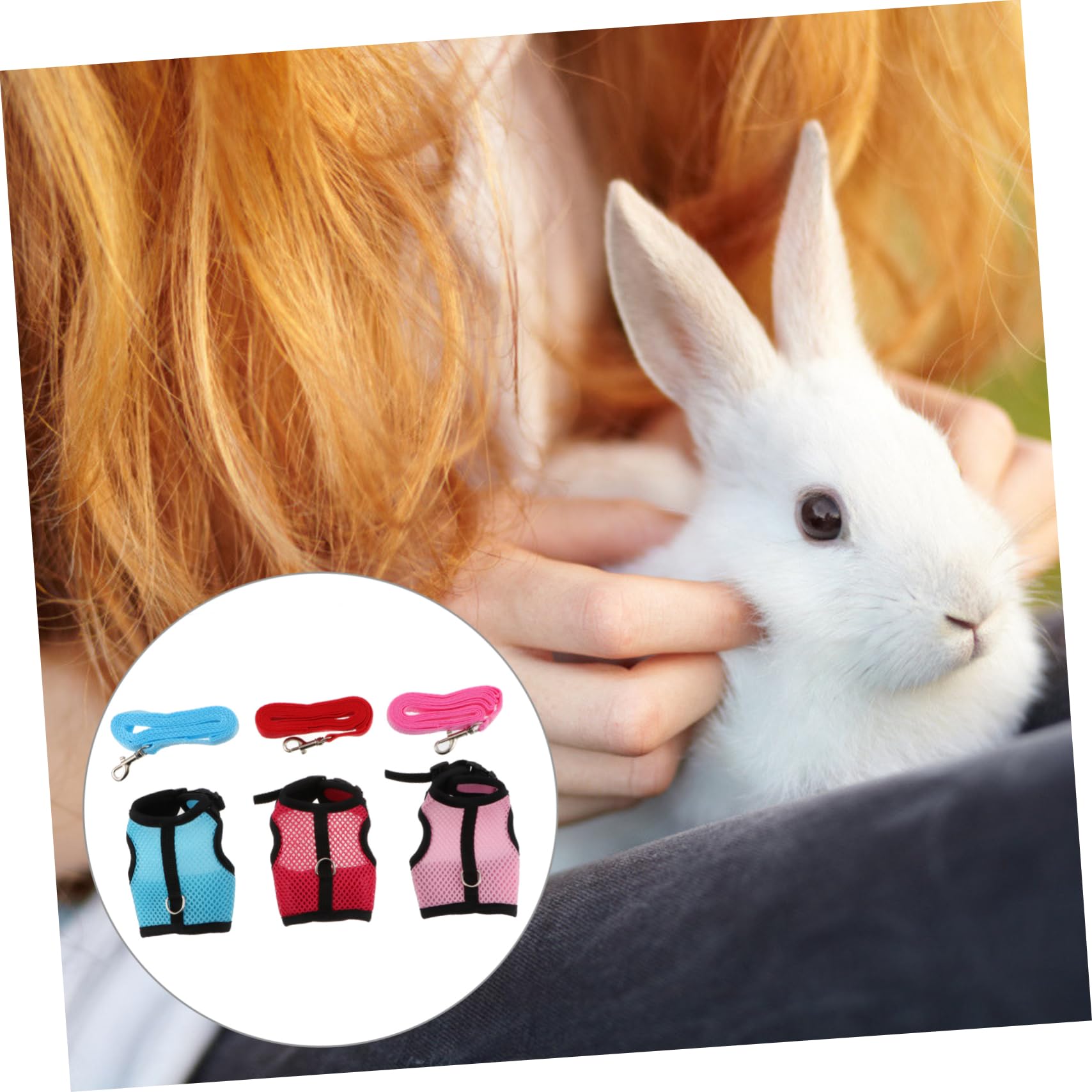 INOOMP 2 Pz guinzaglio di cavia slip di coniglio per bambini furetto imbracature per criceti bunny rabbit guinzaglio per piccoli animali pettorina per coniglio con rete
