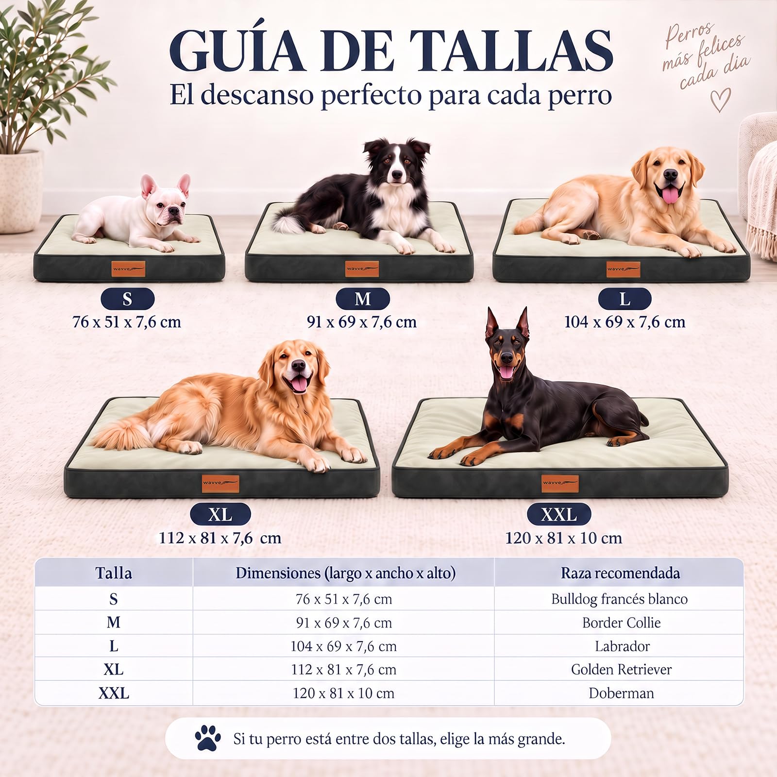 WAVVE Cuccia Cane Interno Taglia grande 120x81x10 cm Grigio