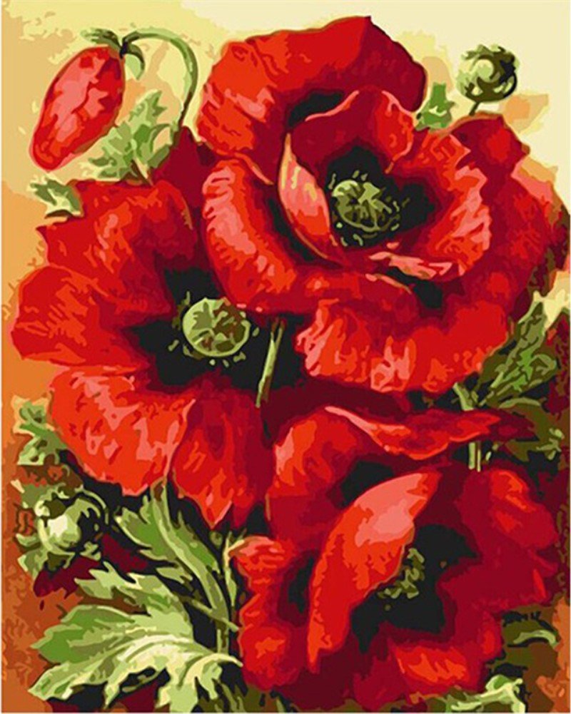 Abeuty Clear Diy Paint By Numbers For Adults Beginner - Big Poppies Flowers 16X20 Inches Number Painting (Wooden Framed)