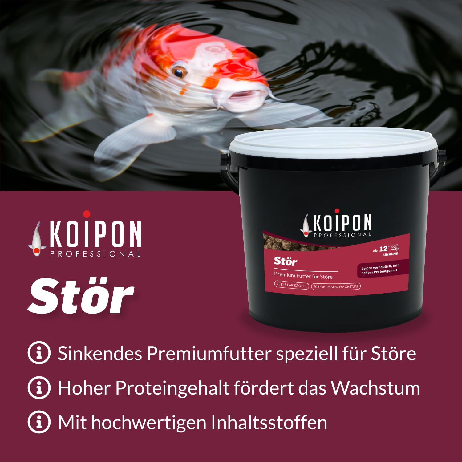 KOIPON Premium Störfutter 3 kg, sinkend, Teichfutter 6mm Pellets für Stör im Gartenteich, Ideal für gemeinsame Haltung mit Koi