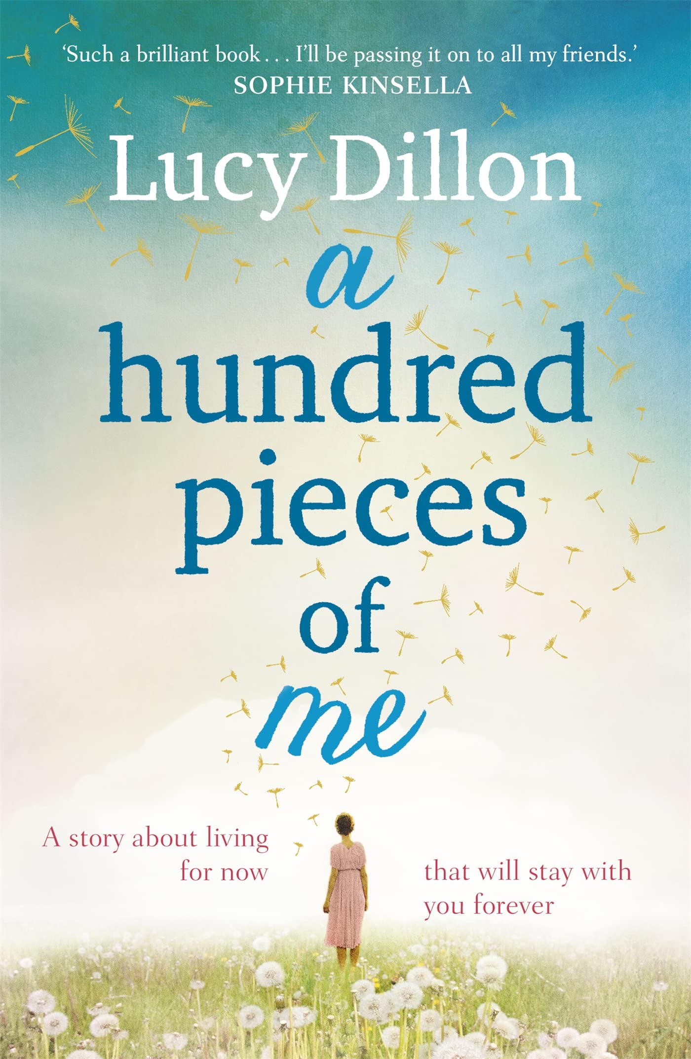 A HUNDRED PIECES OF ME