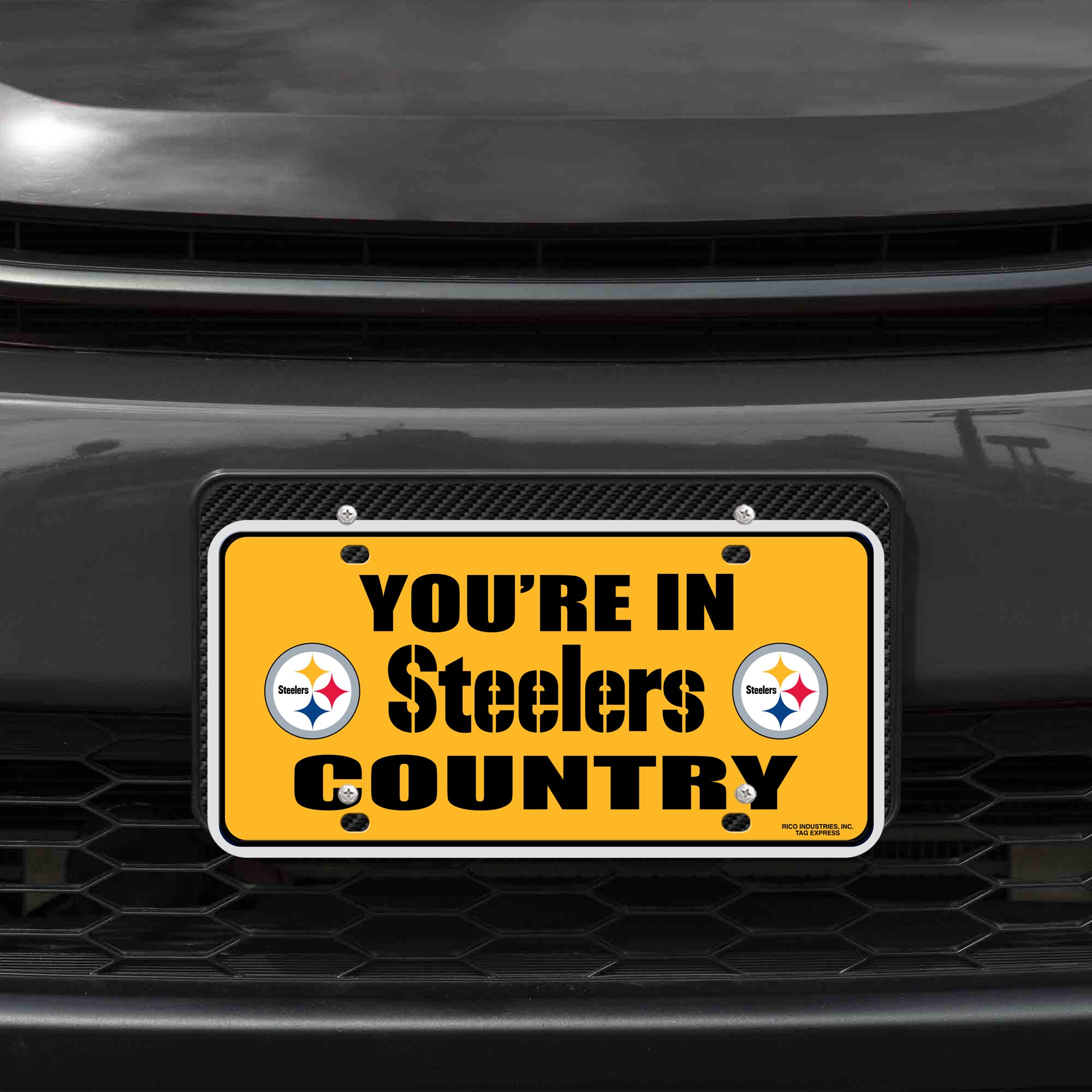 Rico Industries unisex adult License Plate MTG Metal Tag, Team Color, 6 x 11.5- US