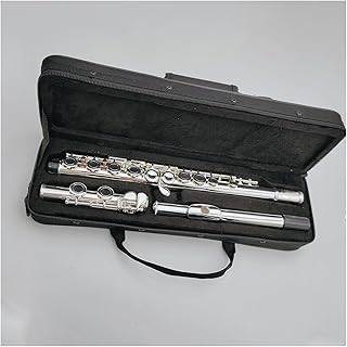 Flute Instruments 16 Hole E Key Nickel Plated Professional Musical Instrument flute instrument