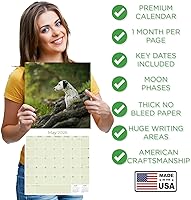 Vista 264 de Razas de Perros 2017