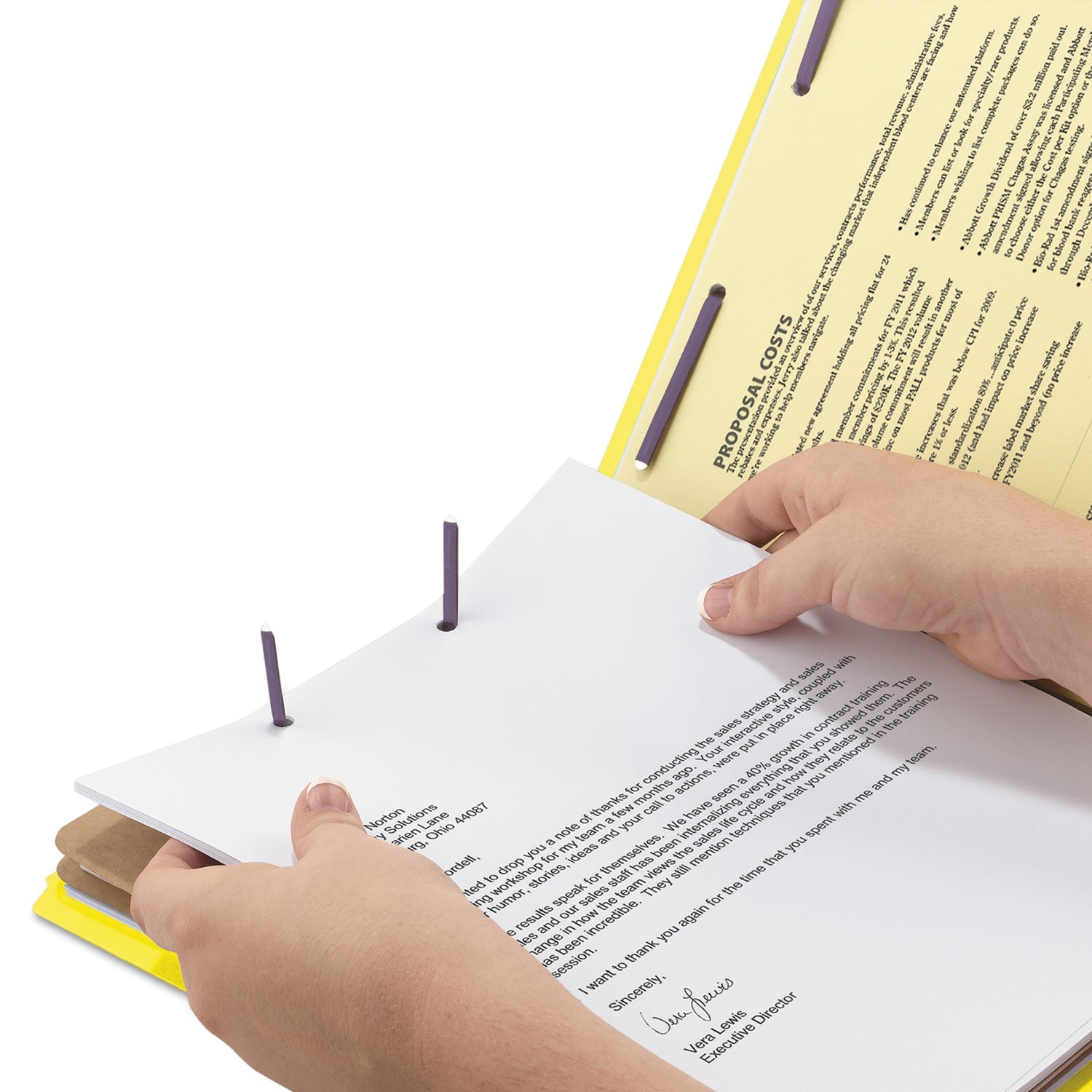 Smead Classification Folders, Pocket Style Divider Legal Yellow Giallo cartella