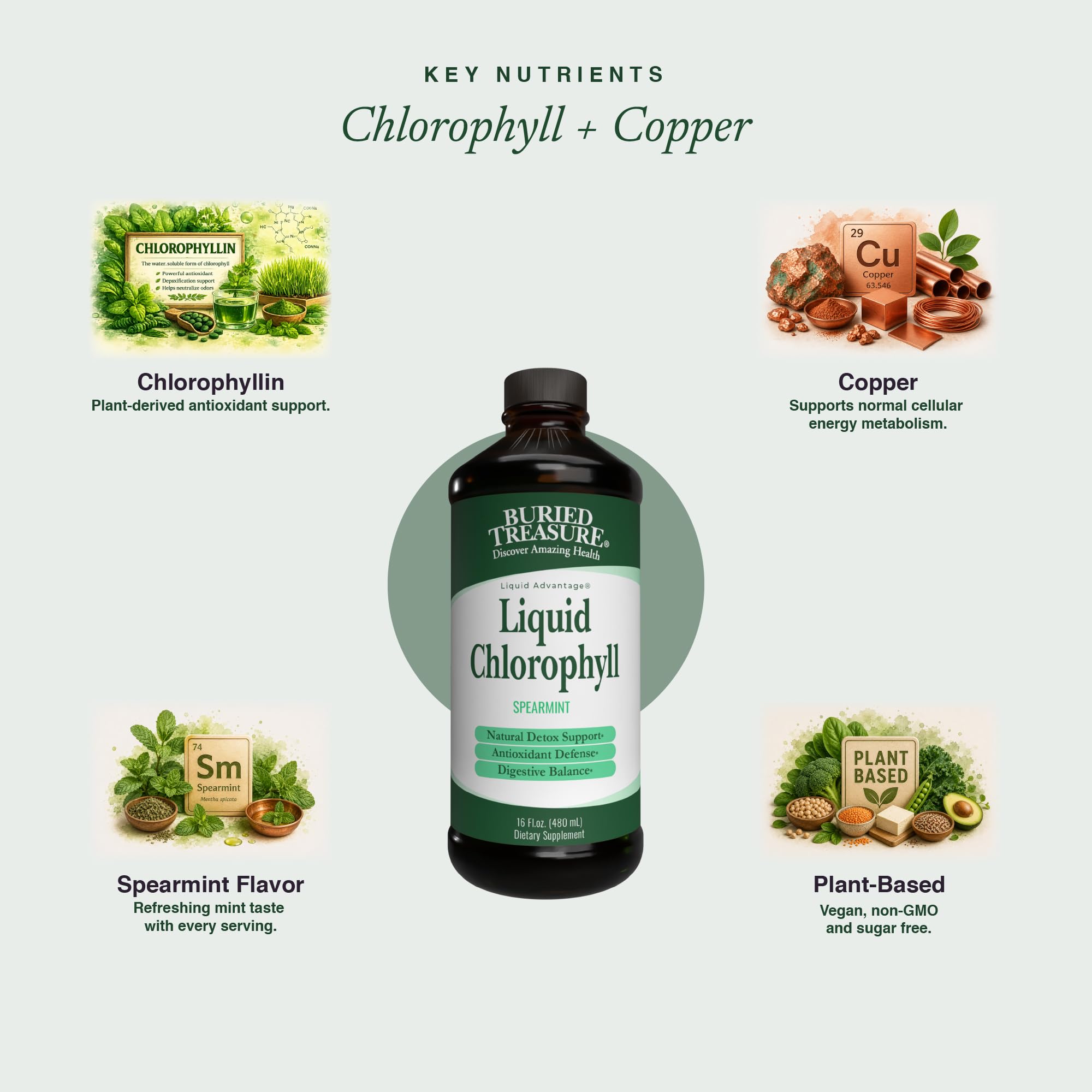 Buried Treasure Liquid Chlorophyll 100 mg Dietary Supplement, Energy Boost Immune Support Detox Intestinal Digestive Support Natural Body Deodorant Vegan Non-GMO Alcohol Free Spearmint Flavor,16 oz — Amazon image 4