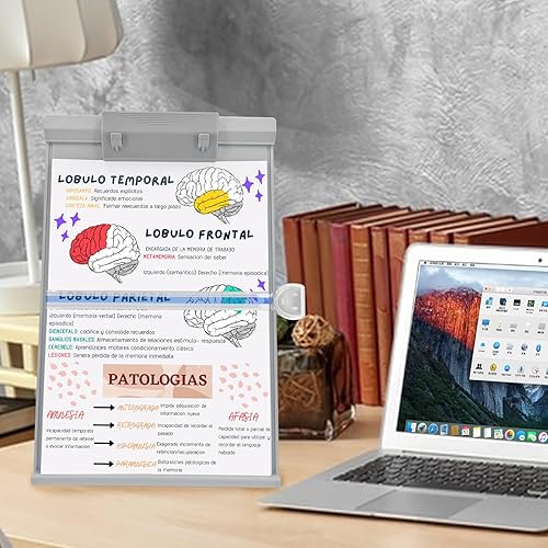 Barelove Soporte de papel de escritorio para documentos, soporte plegable para libros de lectura, soporte para copias, caballete con 7 posiciones