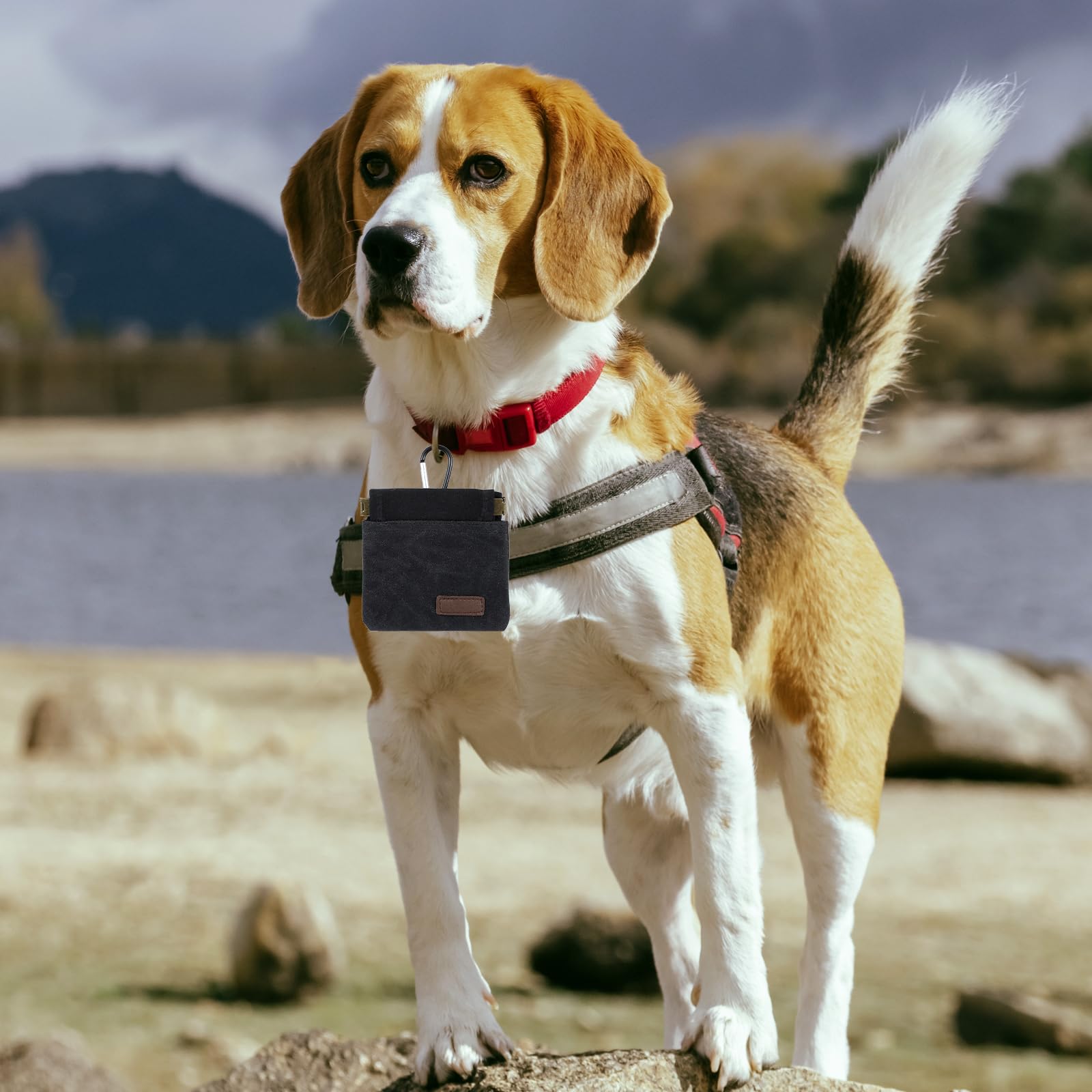 YUXIANLB Dog Training Pouch with Belt Clip, Adjustable Waist Treat Bag for Dog Walking, Obedience Classes Hiking, Portable Pet Snack Dispenser for Puppy Rewards, Park Visits and Training Accessories - image 7