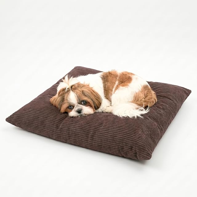 Foto 4 de 8 de 4L Textil ZOE Cojín para Perros, Mullido, de Pana para Perros, con Funda y Cremallera