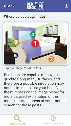 BedBugs 101