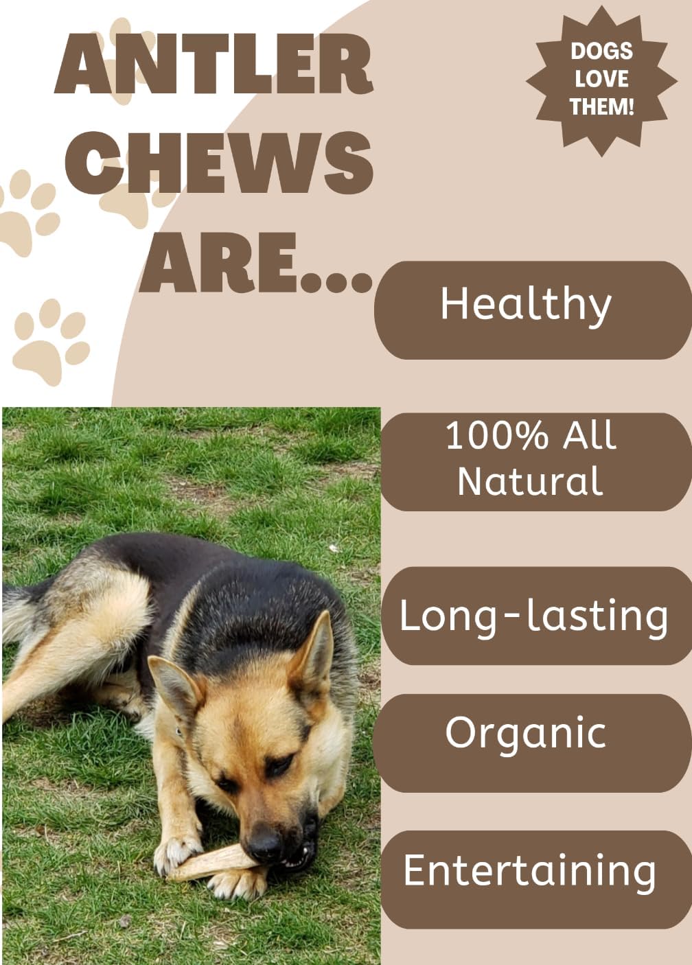 Elk Antler Chew for Dogs, Split or Whole Antler, All Natural Long-Lasting Durable Dog Bone for Aggressive Chewers (Jumbo Split)