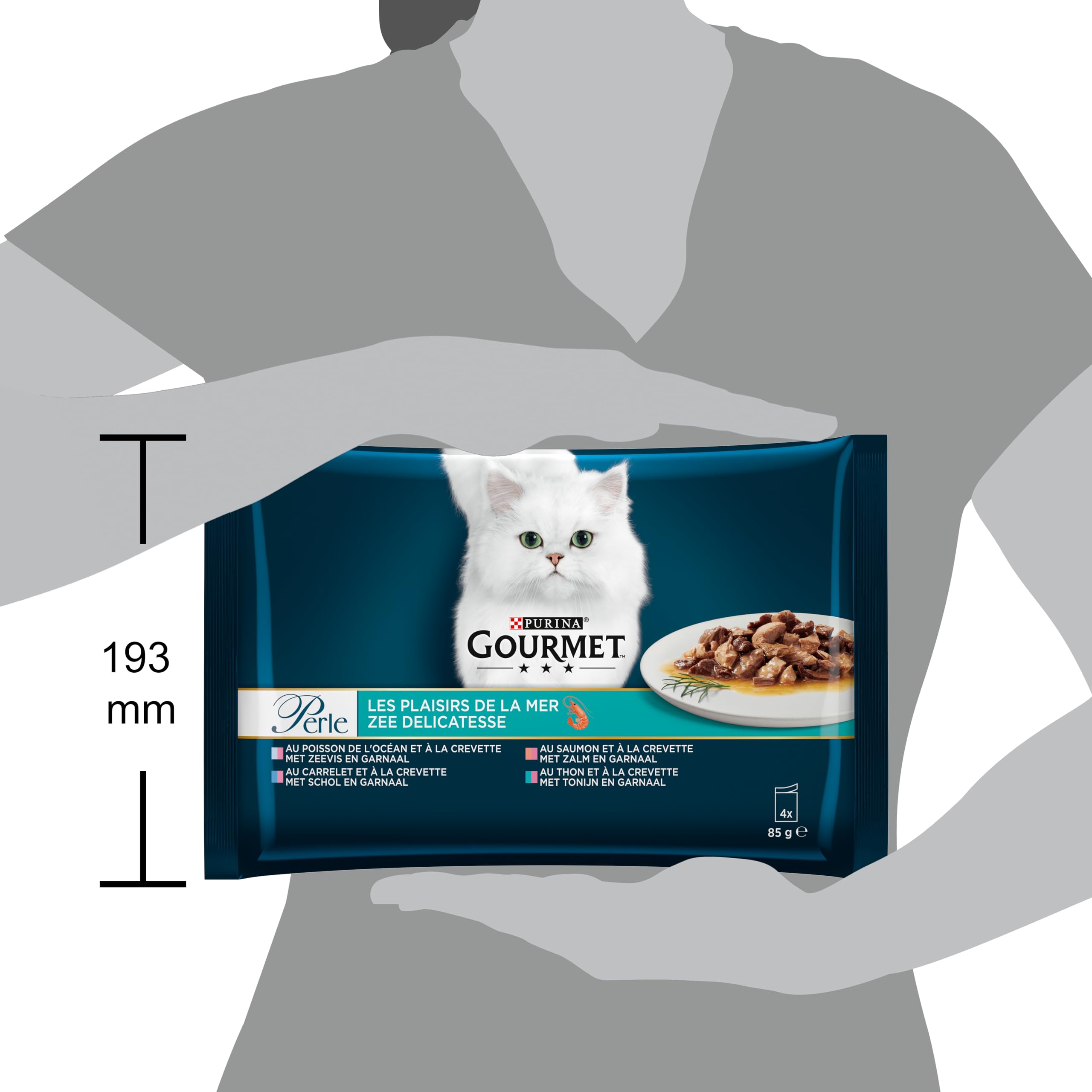 Purina Gourmet Les Plaisirs de la Meer, 12 Stück (4 x 85 g)
