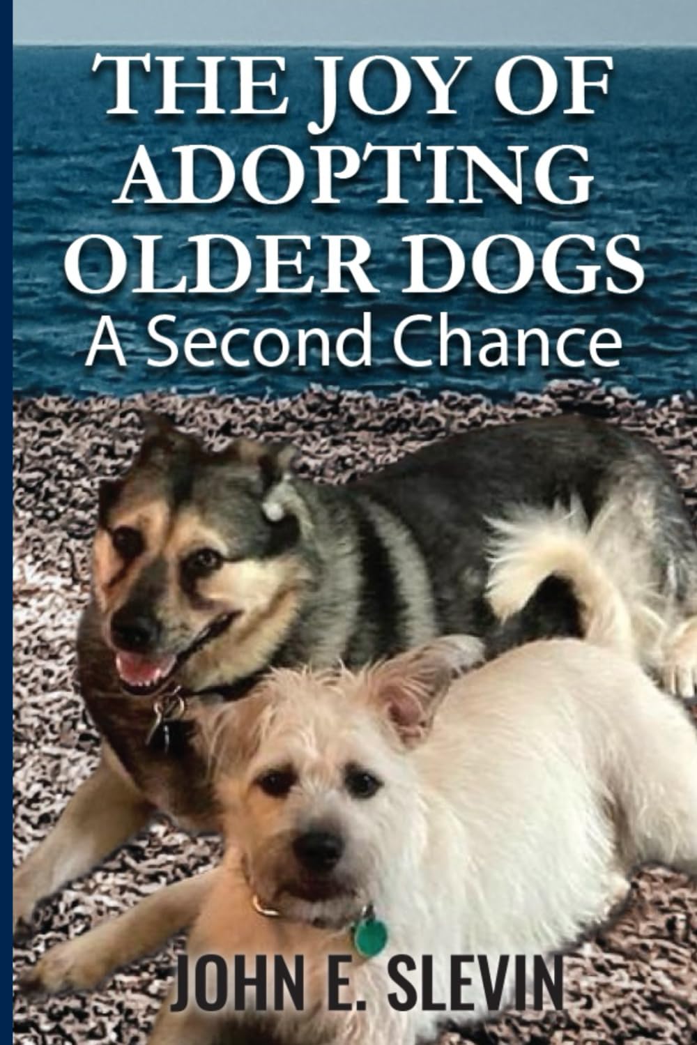 The Joy of Adopting Older Dogs: A Second Chance