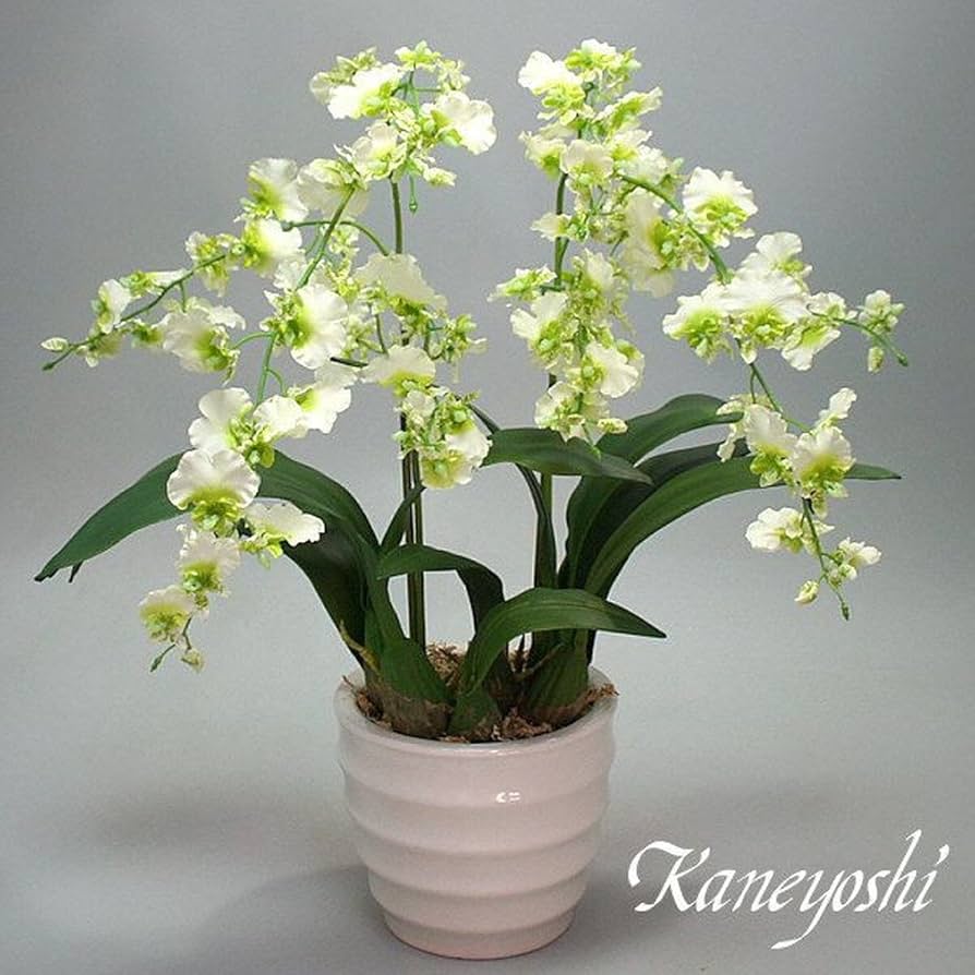 光触媒　人工観葉植物　フェイクグリーン　胡蝶蘭　ピュアオーキッド2本立ホワイト 光触媒 人工観葉植物 フェイクグリーン 胡蝶蘭 ピュアオーキッド