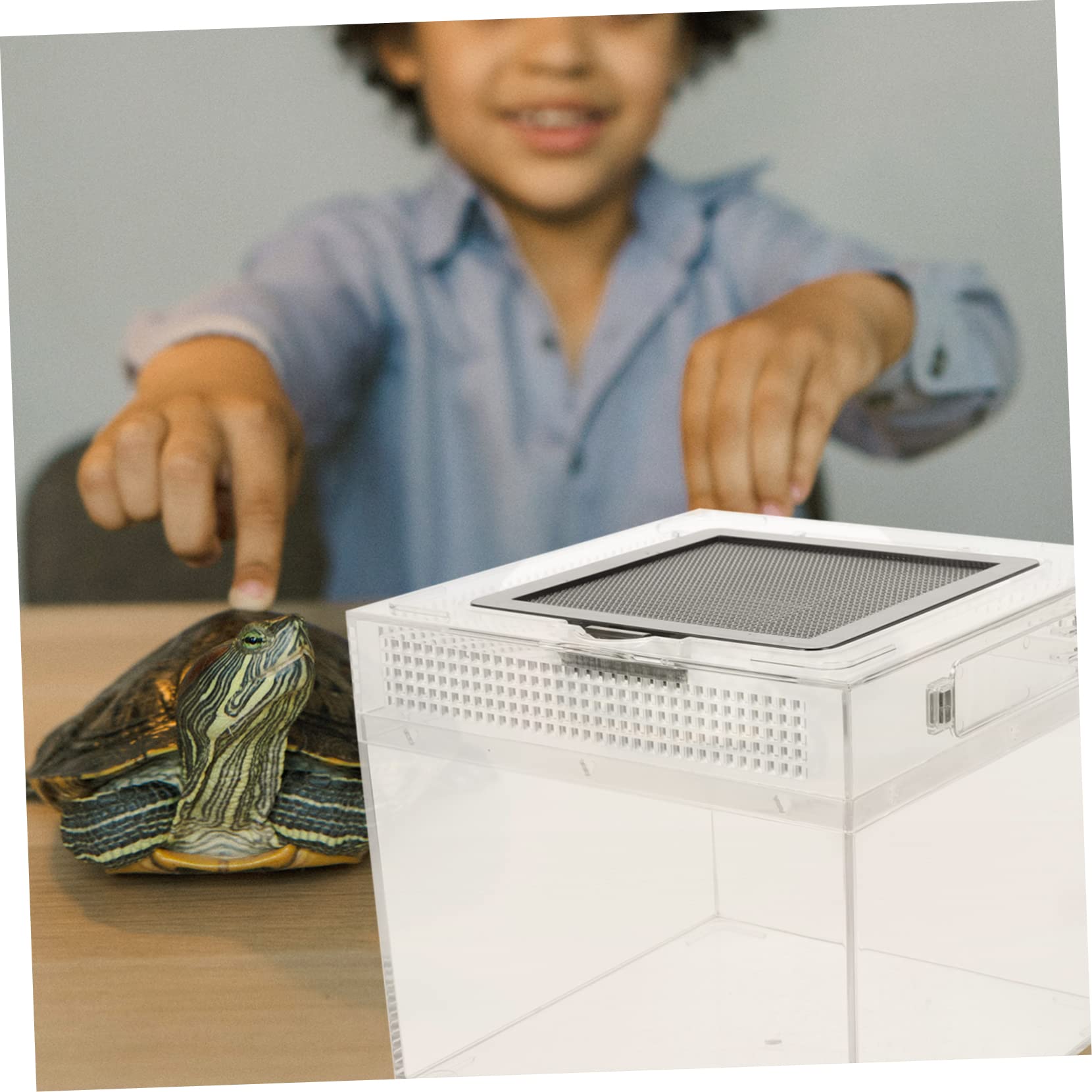Toddmomy Recinto para Reptiles Transparente con Tapa Magnética Deslizante Incubadora Creativa y Alimentador Práctico para Arañas y Tortugas Pequeñas