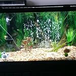 2Pack Air Pierre Bar Aquarium Réservoir de poisson Minéral Air Bubble Air Pierre avec Air Ligne,Aquarium Air Accessoires pour pompes 16inch Vert-bleu