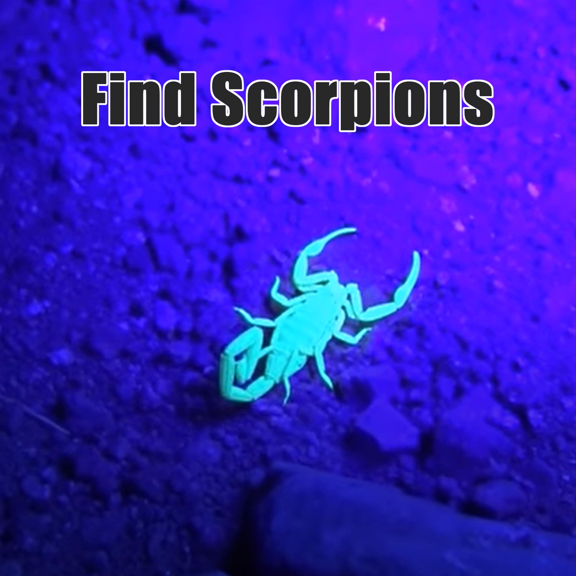 Lampe De Poche UV Imperméable à La Lumière, Lumière Violette Et Ultraviolette, C