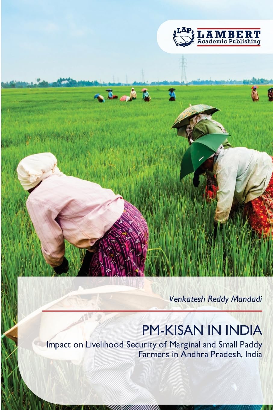 PM-KISAN IN INDIA: Impact on Livelihood Security of Marginal and Small Paddy Farmers in Andhra Pradesh, India