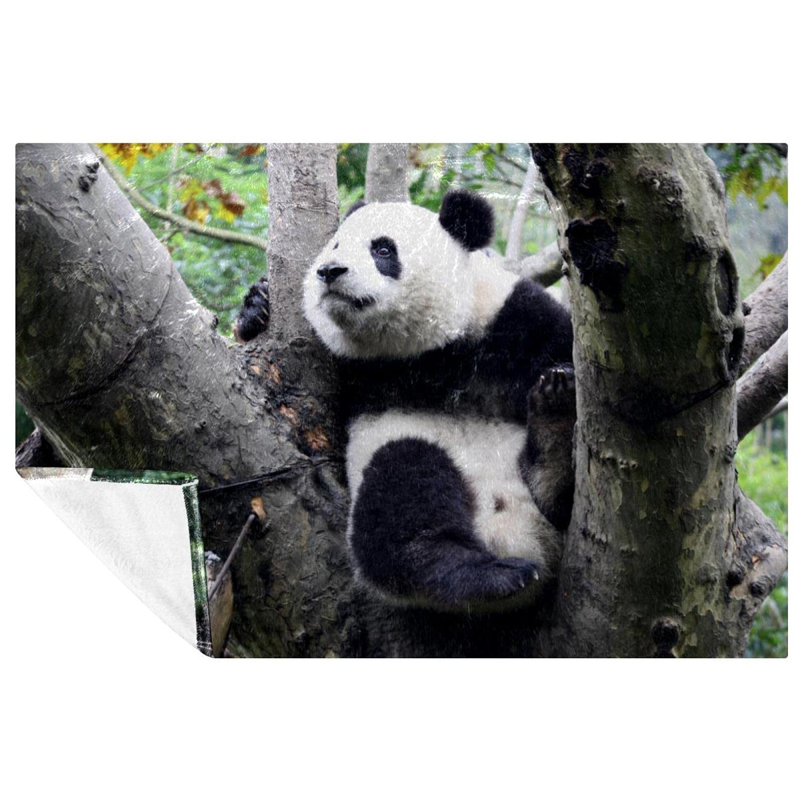 Couverture bébé panda chaude et grand plaid lit canapé camping 150x100