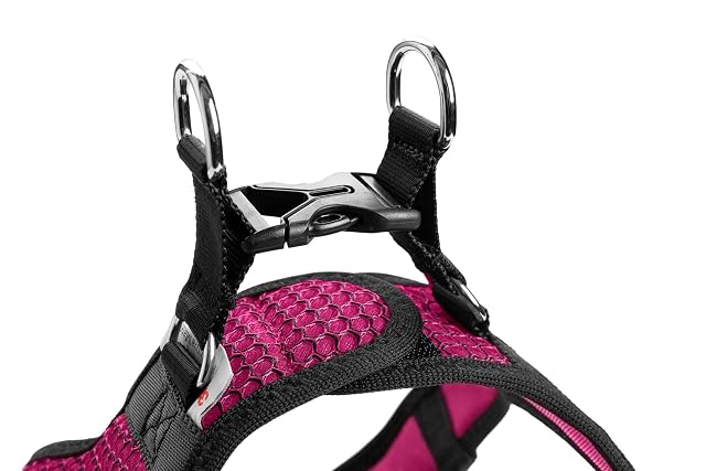 Foto 4 de 5 de Hunter - Arnés para Perro Hilo Comfort. S-M, Rosa - (401673969808)