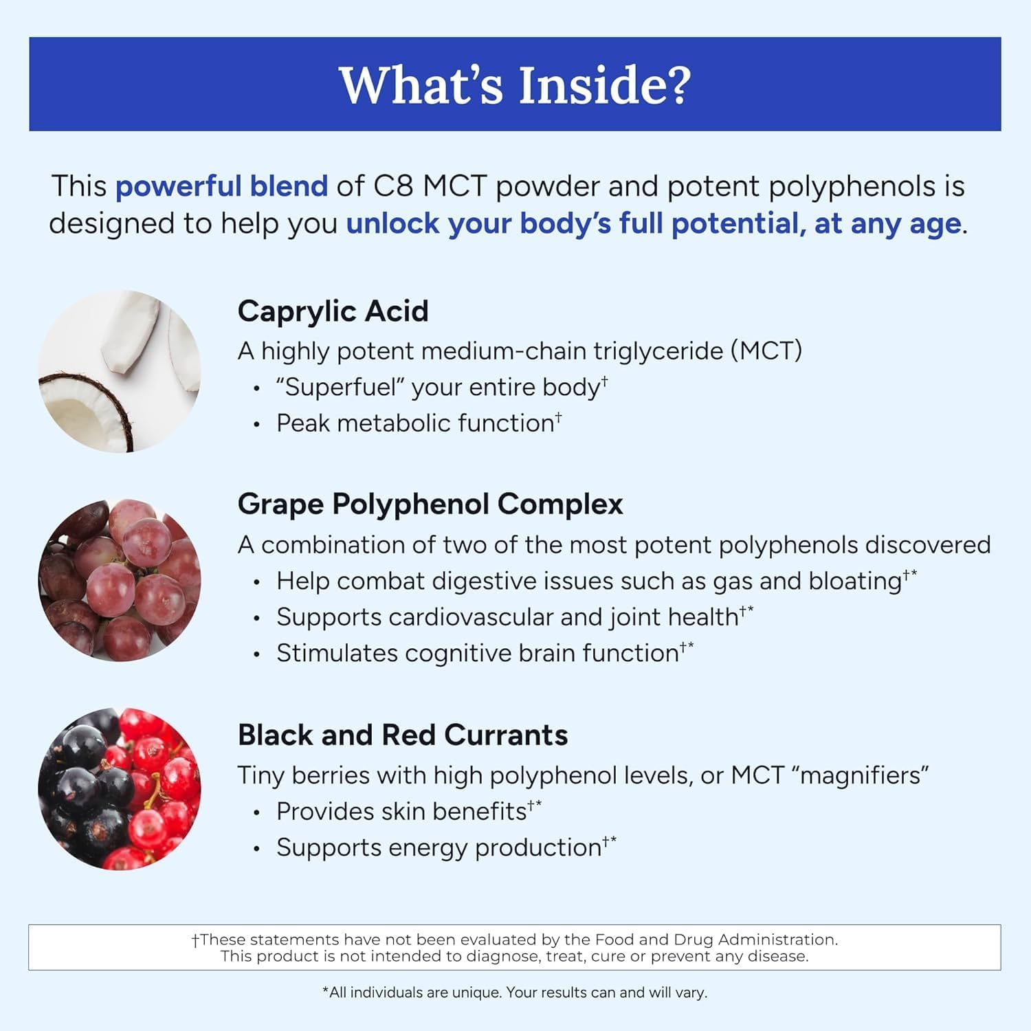 Gundry MD MCT Wellness Powder to Support Energy, Ketone Production and Brain Health, Keto Friendly, Sugar Free (90 Day Supply, Watermelon Lemonade) - Image 6