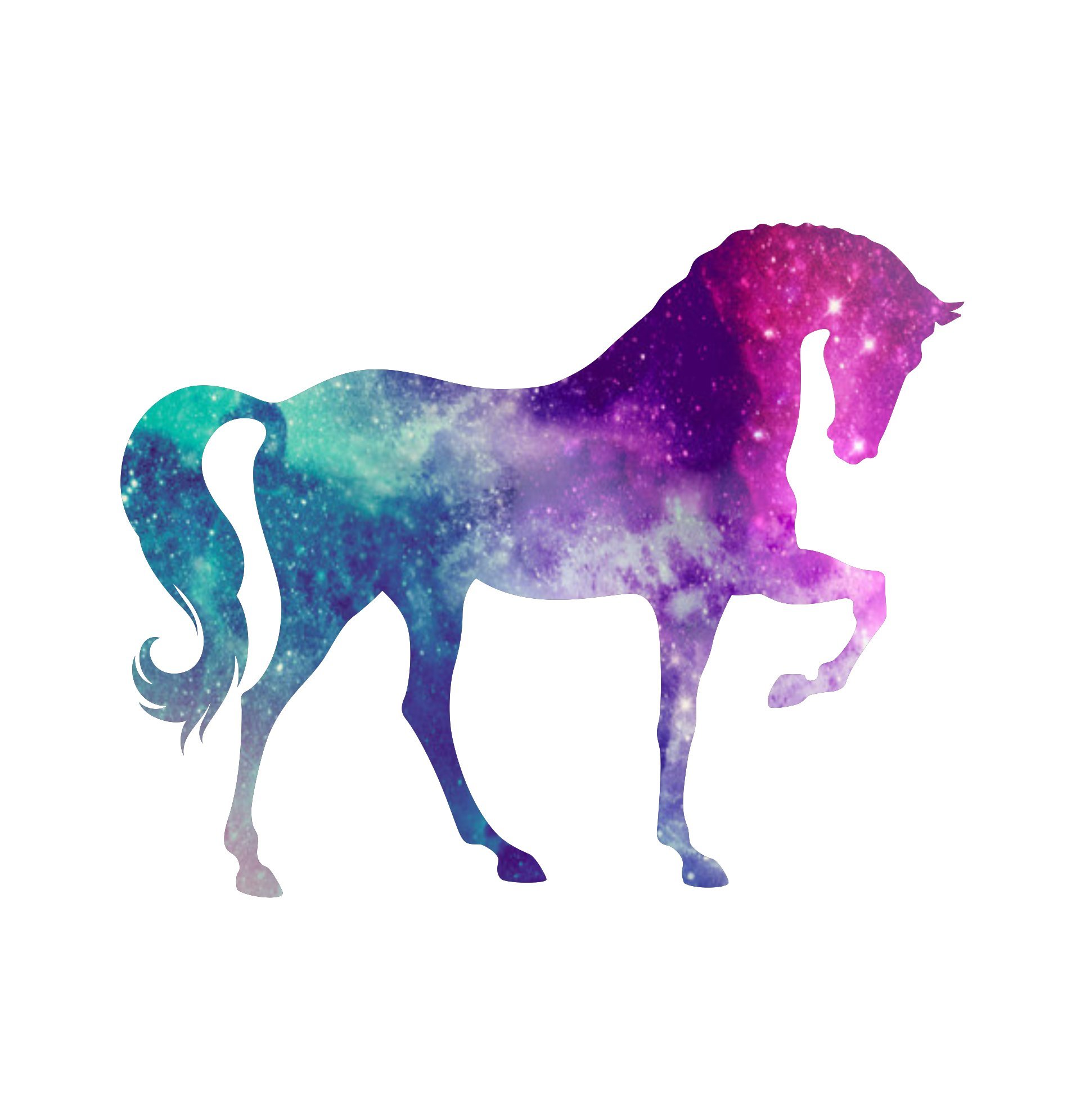 Vinyl Junkie Graphics Horse Custom Sticker Graphic Decal for Notebook car Truck Laptop Many Color Options (Starry Sky)