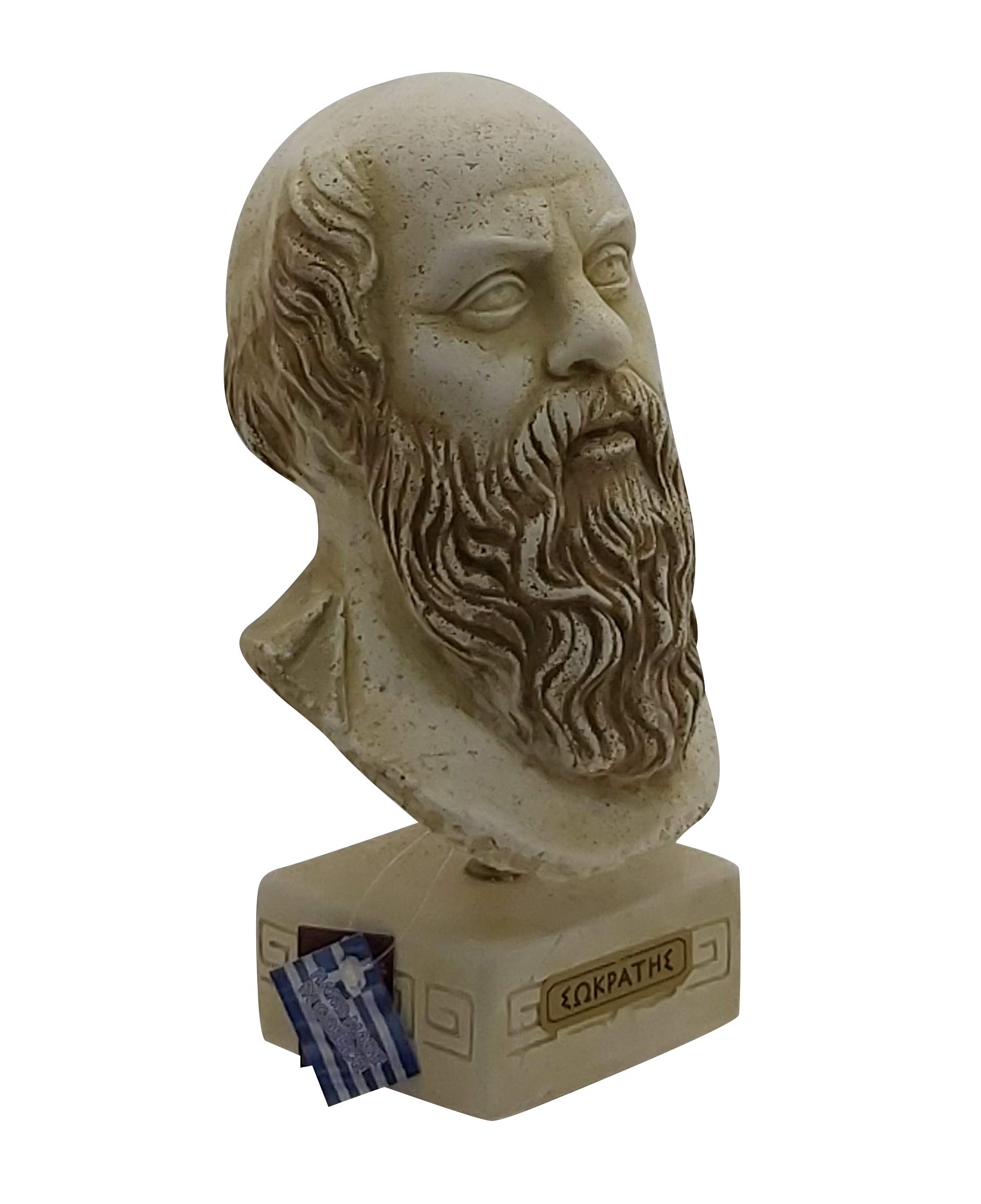 Sócrates Antiguo Filósofo Griego Busto Cabeza Escultura Piedra de Fundición