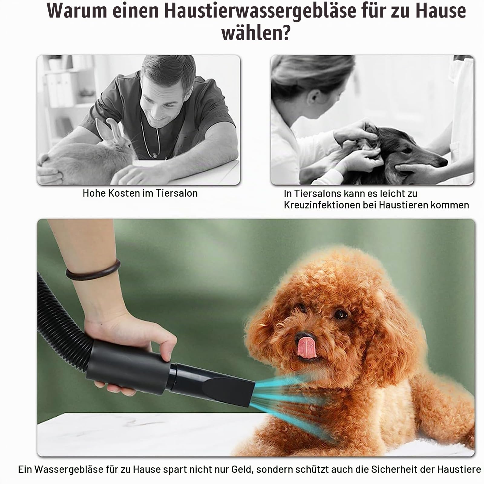 Blower Hundefön Sehr Leise, 2800W Hundefön Hundetrockner Einstellbare Geschwindigkeit, Professioneller Haartrockner Hunde Föhne, Tierfön Pet Dryer Hundepflege-Trockner-Gebläse mit 4 Düsen und Schlauch