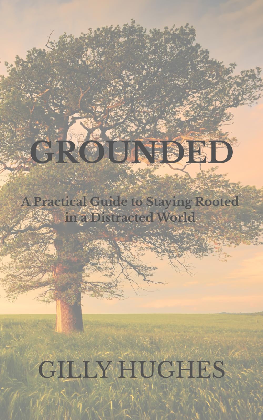 GROUNDED: A Practical Guide to Staying Rooted in a Distracted World: 4 (CALM)