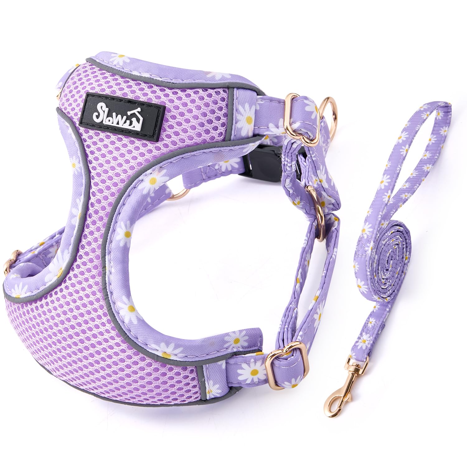 Eyein Small Dog Harness and Lead Set