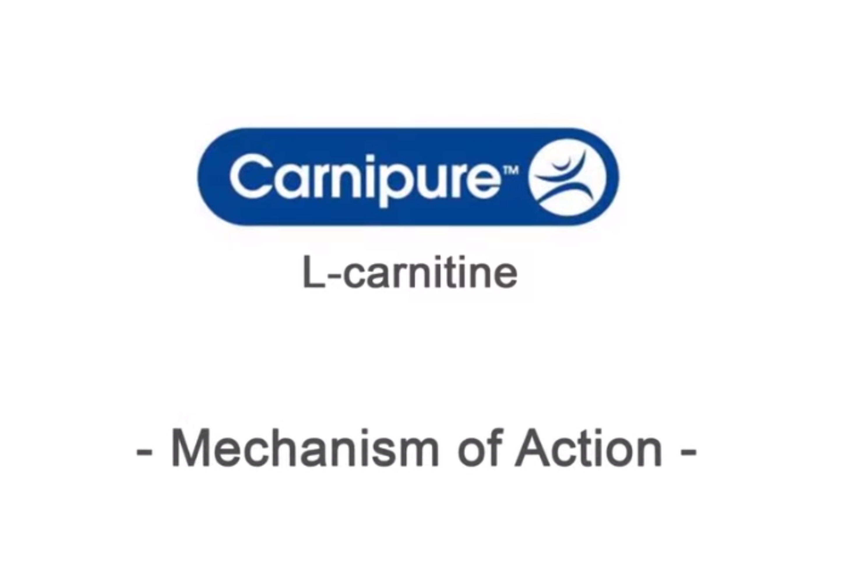 optimum nutrition l carnitine 500 Acylcarnitines main image 0